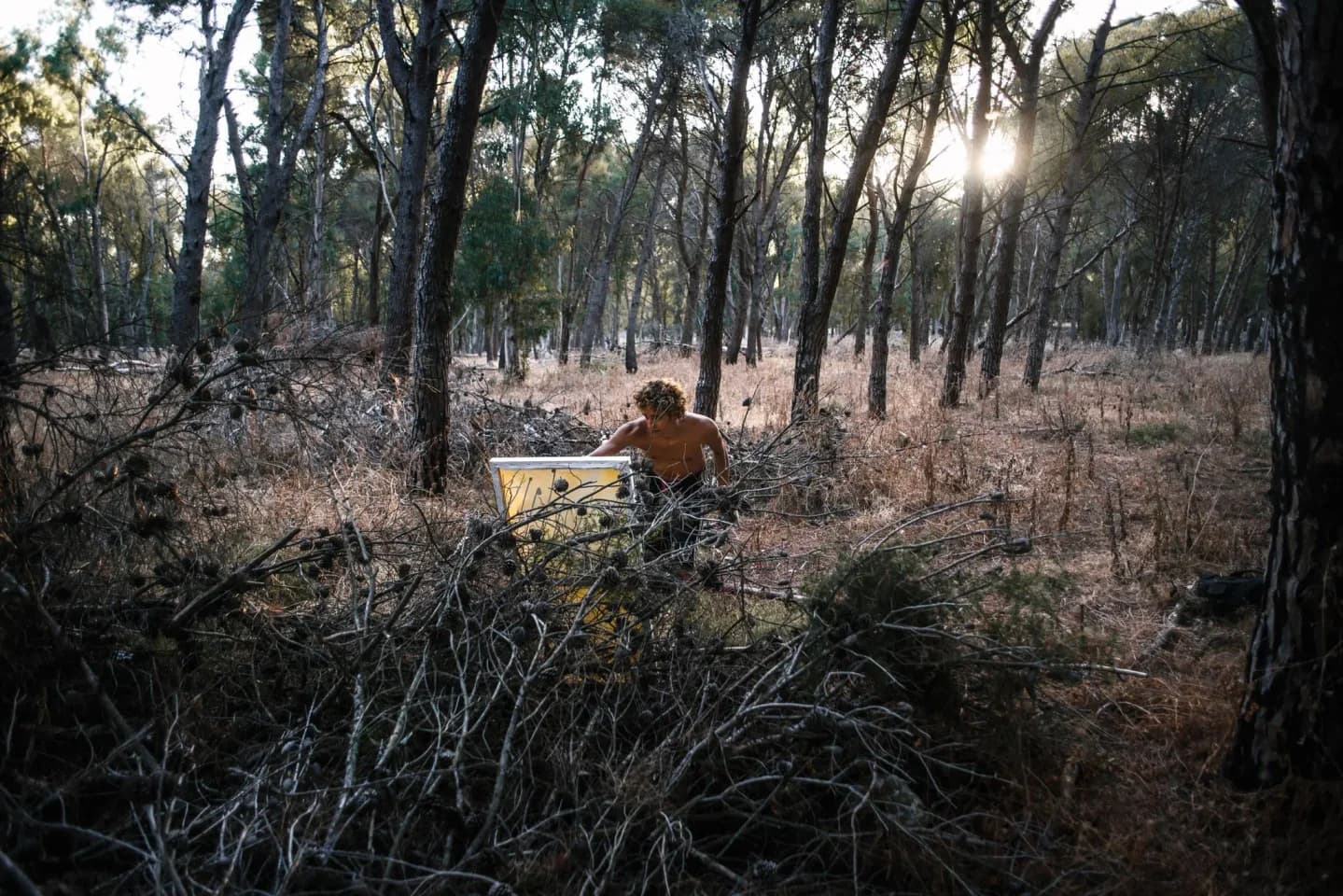 Instagram selected image 1